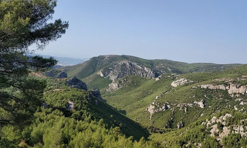 Πάρνηθα: «Θερμός κλοιός» και ριπές ανέμων της τάξης των 111 χιλιομέτρων καταγράφηκαν σήμερα